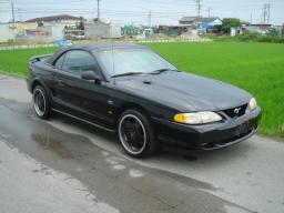 Picture of Ford Mustang GT Picture of Ford Mustang GT